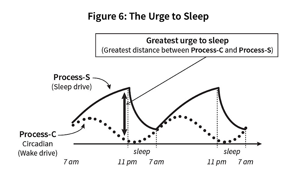 sleep-cycle